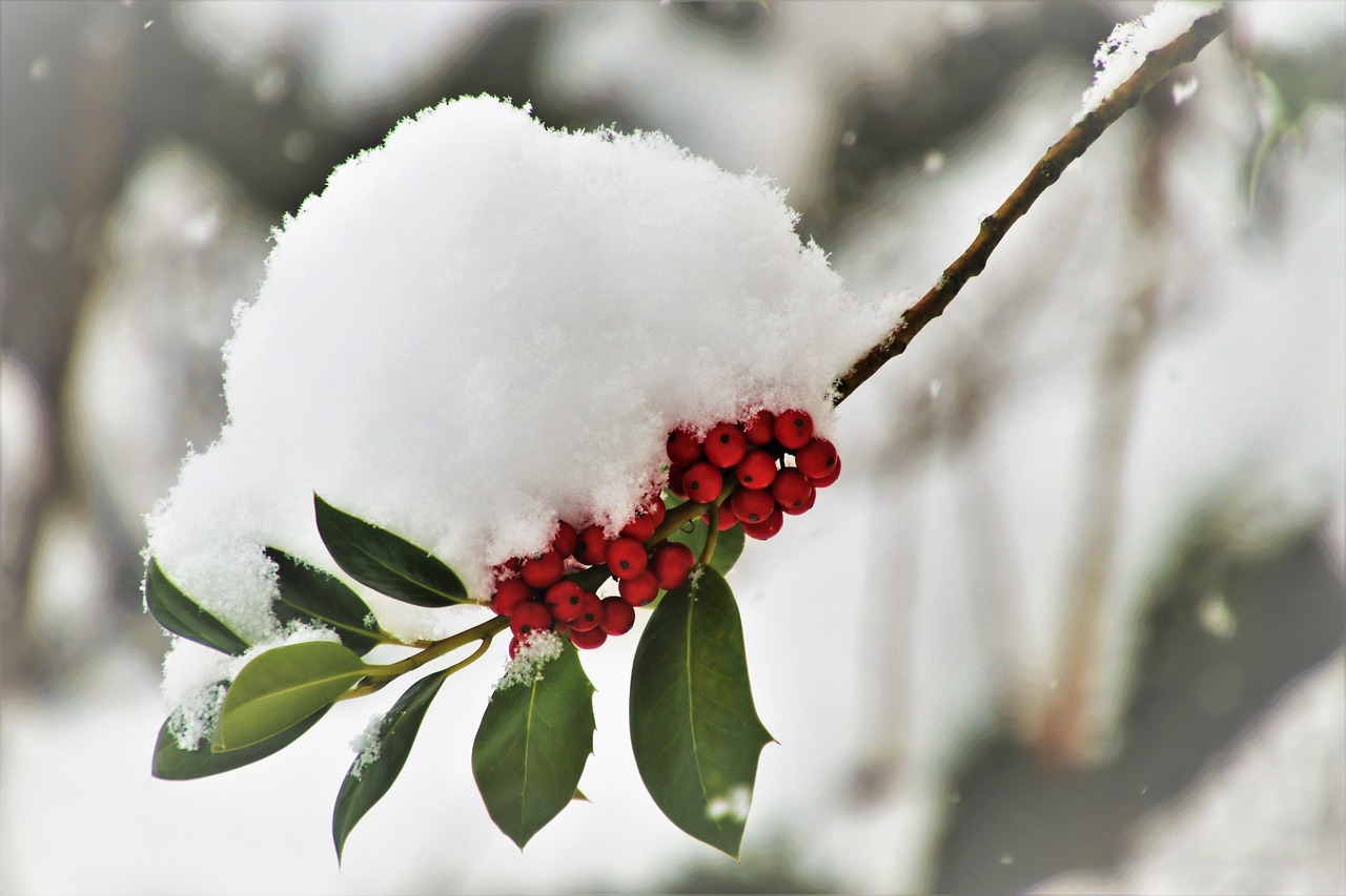 Der TeilHappen macht Winterpause